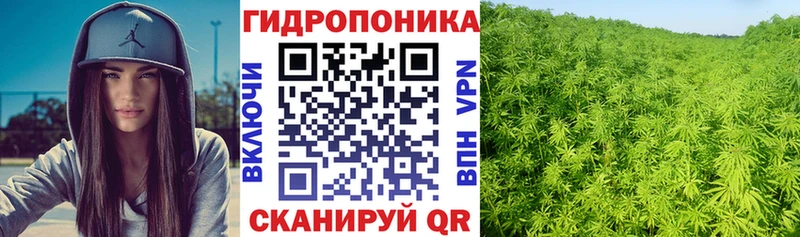 Где купить Аркадак Канабис Мефедрон КОКАИН A-PVP Амфетамин ГАШ