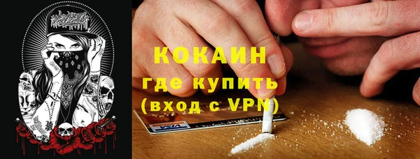 ПСИЛОЦИБИНОВЫЕ ГРИБЫ Алексин