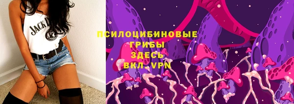 спиды Алзамай