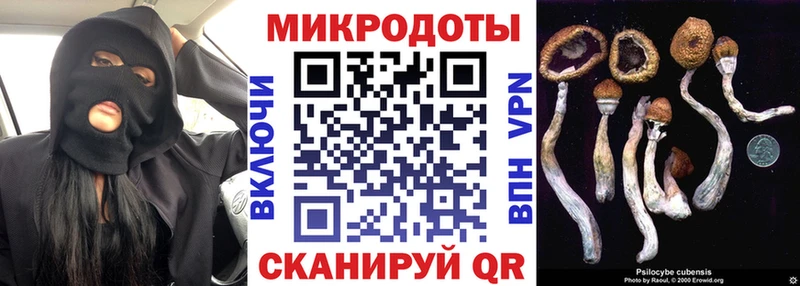 Псилоцибиновые грибы Psilocybine cubensis Аркадак